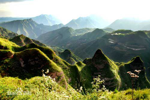 政权篇：仇池国——从晋惠帝到杨坚，绵延三百年的胡族政权