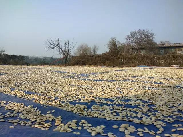 聊城网红巷子小吃,聊城传说中的网红店