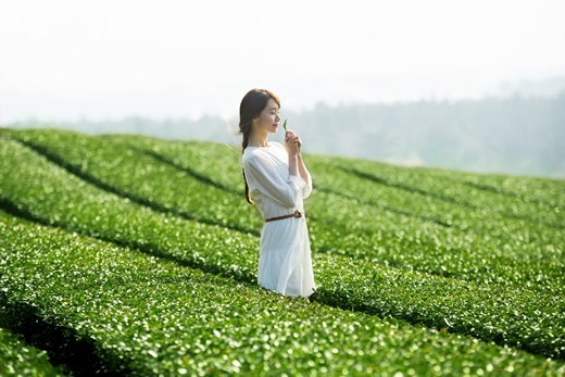 悦诗风吟小绿瓶都有什么,悦诗风吟有哪些好用的单品