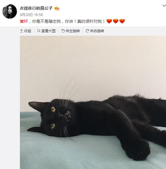 黄轩女友最近的消息,黄轩女朋友圈内消息