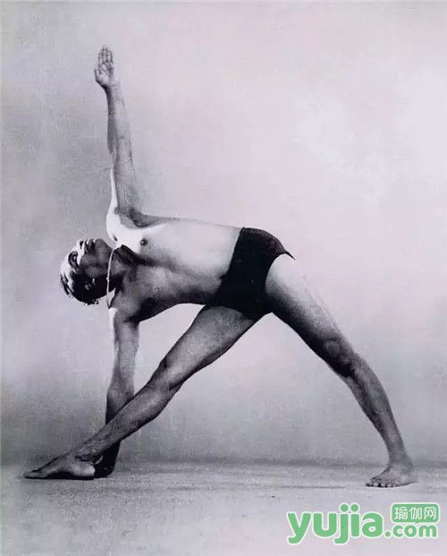 艾扬格23个经典瑜伽动作,艾扬格瑜伽之光在线阅读