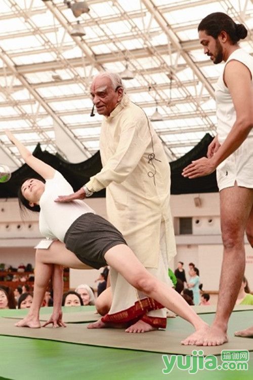 艾扬格23个经典瑜伽动作,艾扬格瑜伽之光在线阅读