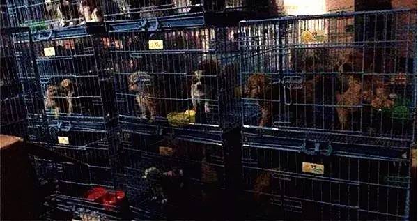 医院误给保胎孕妇吃打胎药,护士给孕妇吃打胎药