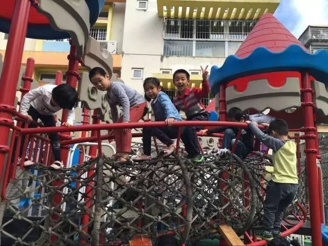 厦门湖里最美幼儿园,厦门湖里智慧树幼儿园