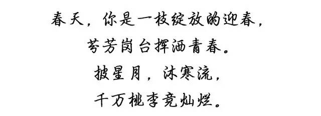 包头交警新闻最新,包头交警最新消息