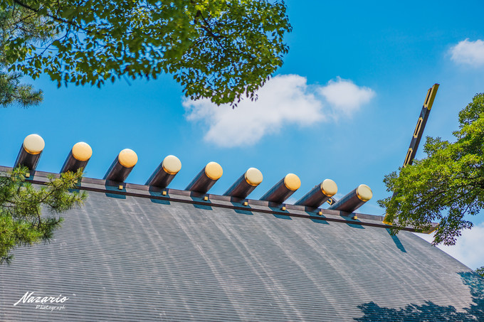 粉红猪小妹与小猪佩奇,粉红猪小妹的快乐生活