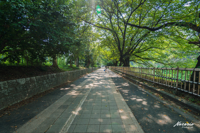 粉红猪小妹与小猪佩奇,粉红猪小妹的快乐生活