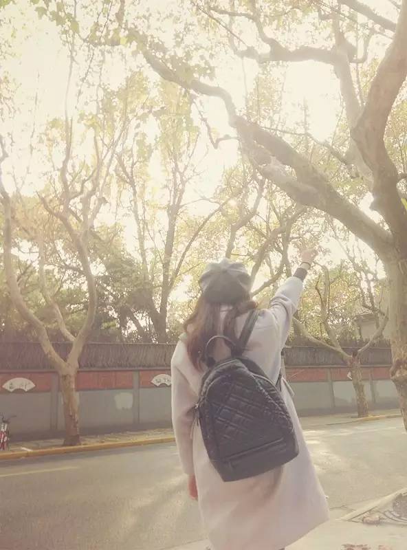 上海落叶不扫景观道,上海秋天不扫落叶的街道