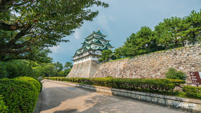 粉红猪小妹与小猪佩奇,粉红猪小妹的快乐生活