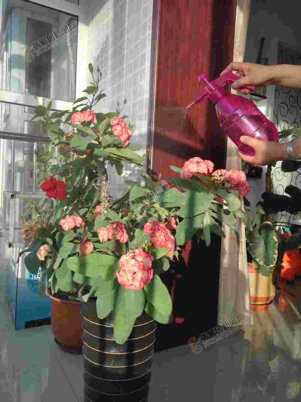 北方家里暖气过热怎么办,家里暖气室温低怎么办