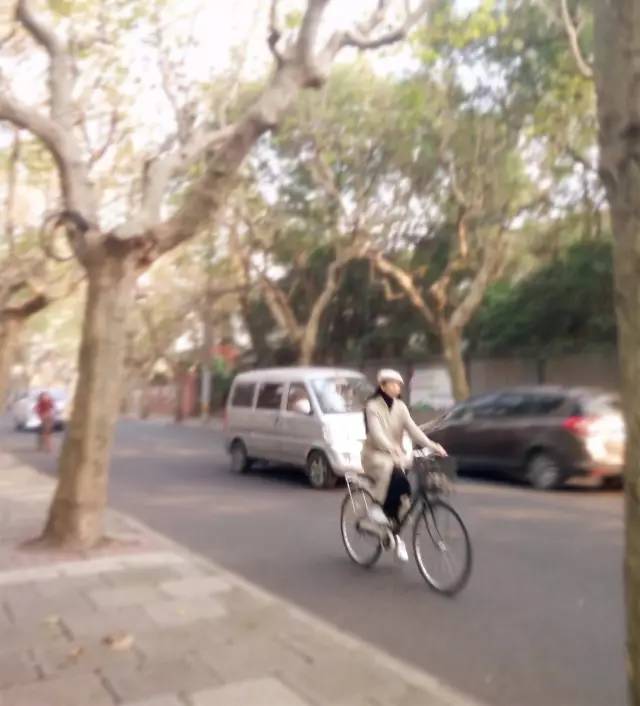 上海落叶不扫景观道,上海秋天不扫落叶的街道