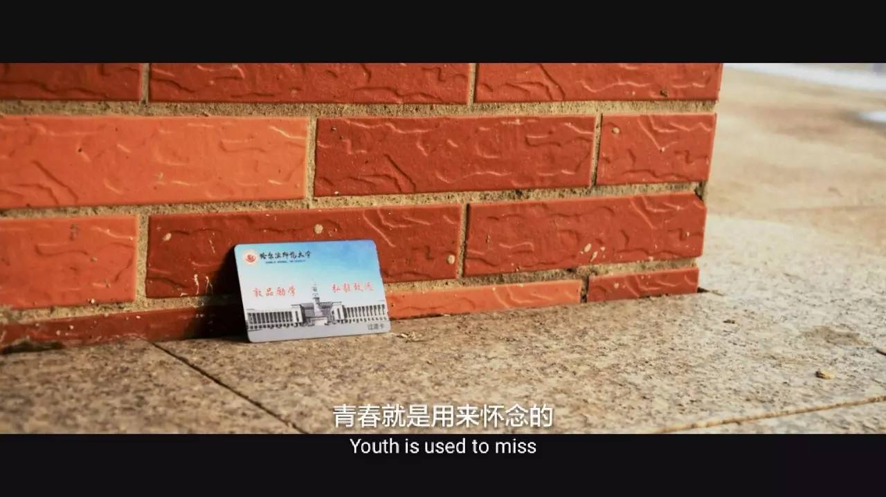 印象哈师大,曾经的哈师大风光