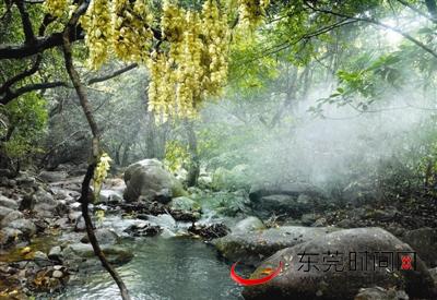 清溪镇小学生获奖,清溪镇一等奖