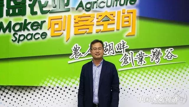 鱼虾住进光伏大棚，“头顶”还能发电