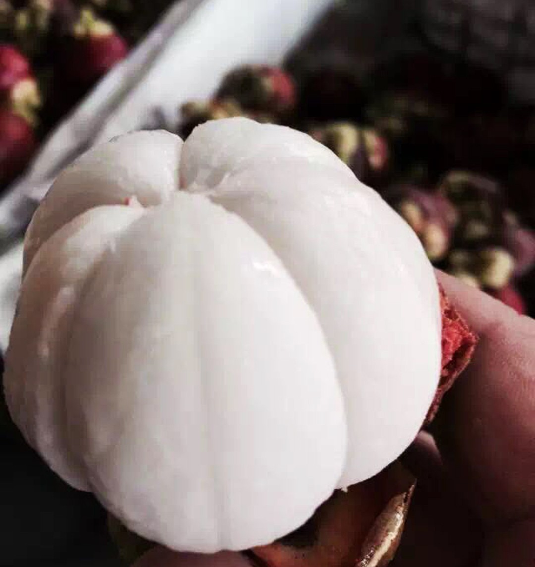 正品进口食品中国代理商,国产进口食品批发商进货渠道