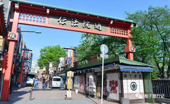 樱花旅行记全集视频,日本樱花7日游攻略大全