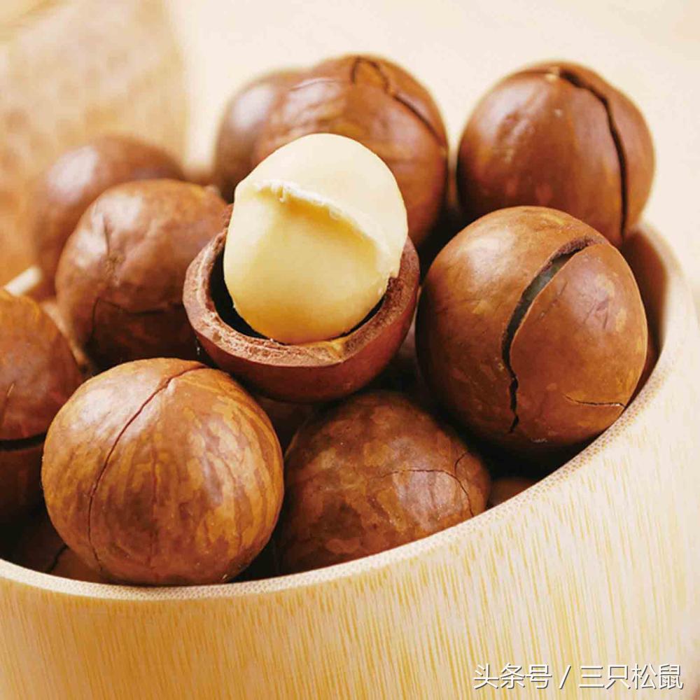 夏威夷果生果和干果的区别,夏威夷果是怎么来的