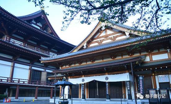 樱花旅行记全集视频,日本樱花7日游攻略大全