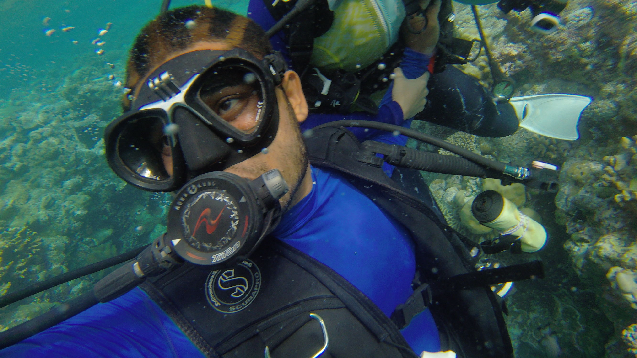 Mini帕劳，有片伟大的海洋（一）