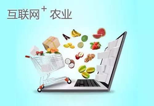 网上卖农产品挣钱吗,网上卖农产品能赚多少钱