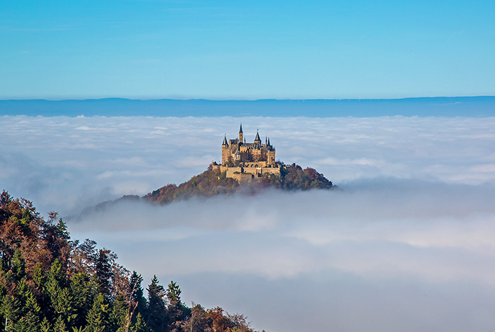 明星结婚地方,今年明星都报什么专业