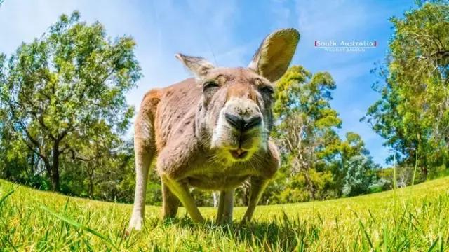 广西南宁2020年薪资水平报告,南宁市2022薪资水平报告
