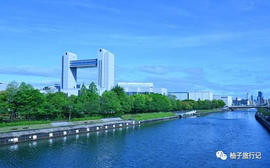 樱花旅行记全集视频,樱花季日本14天旅游攻略