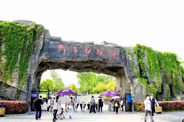 安徽景点门票,吐血整理11个景区全攻略