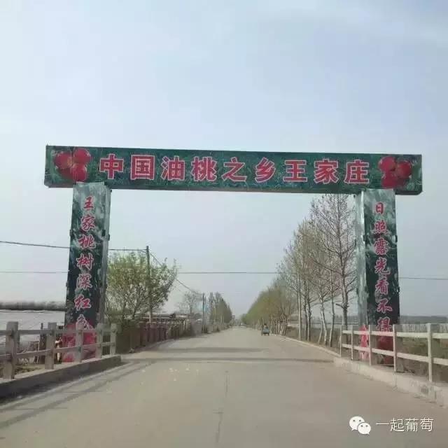 当扶贫遇上互联网,当统战工作遇上互联网