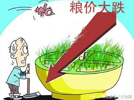 土地租金现状及化解途径,农民土地地租会不断升高吗