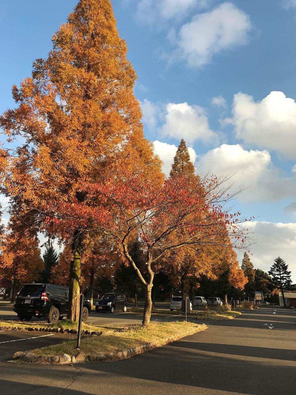 日本关西温泉圣地,日本关西房间内温泉