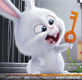 日本颠覆三观的电影,日本经典十部动漫