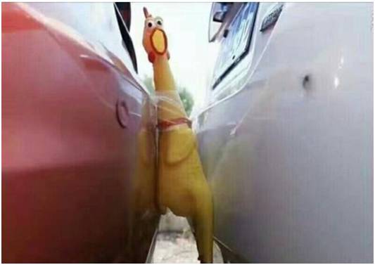 有钱买车没钱养车养不起,有钱买车没钱怎么办