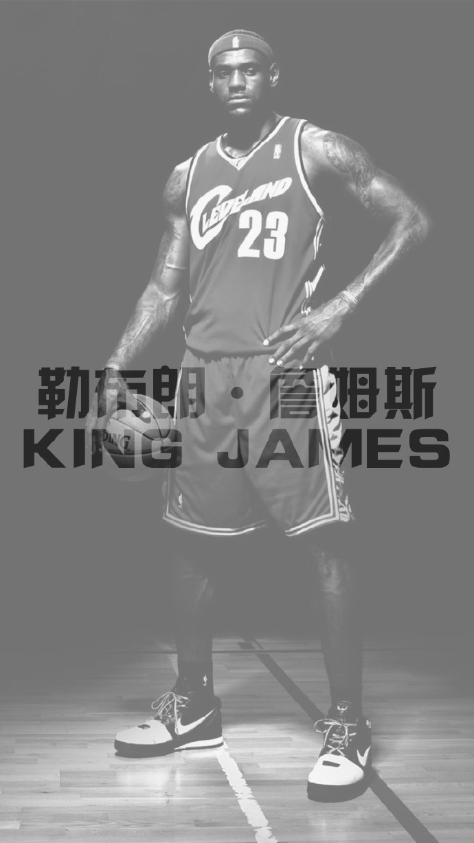 nba球星篮球壁纸,篮球明星壁纸韦德