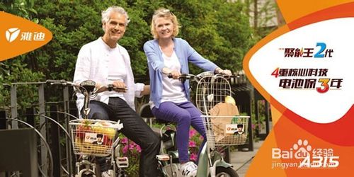 电动车十大品牌哪个动力最好,什么牌子电动车快又稳