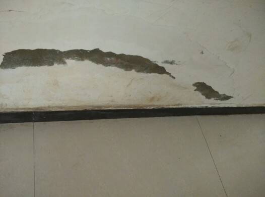 住在一楼很潮湿有霉味,一楼空气潮湿最佳解决方法