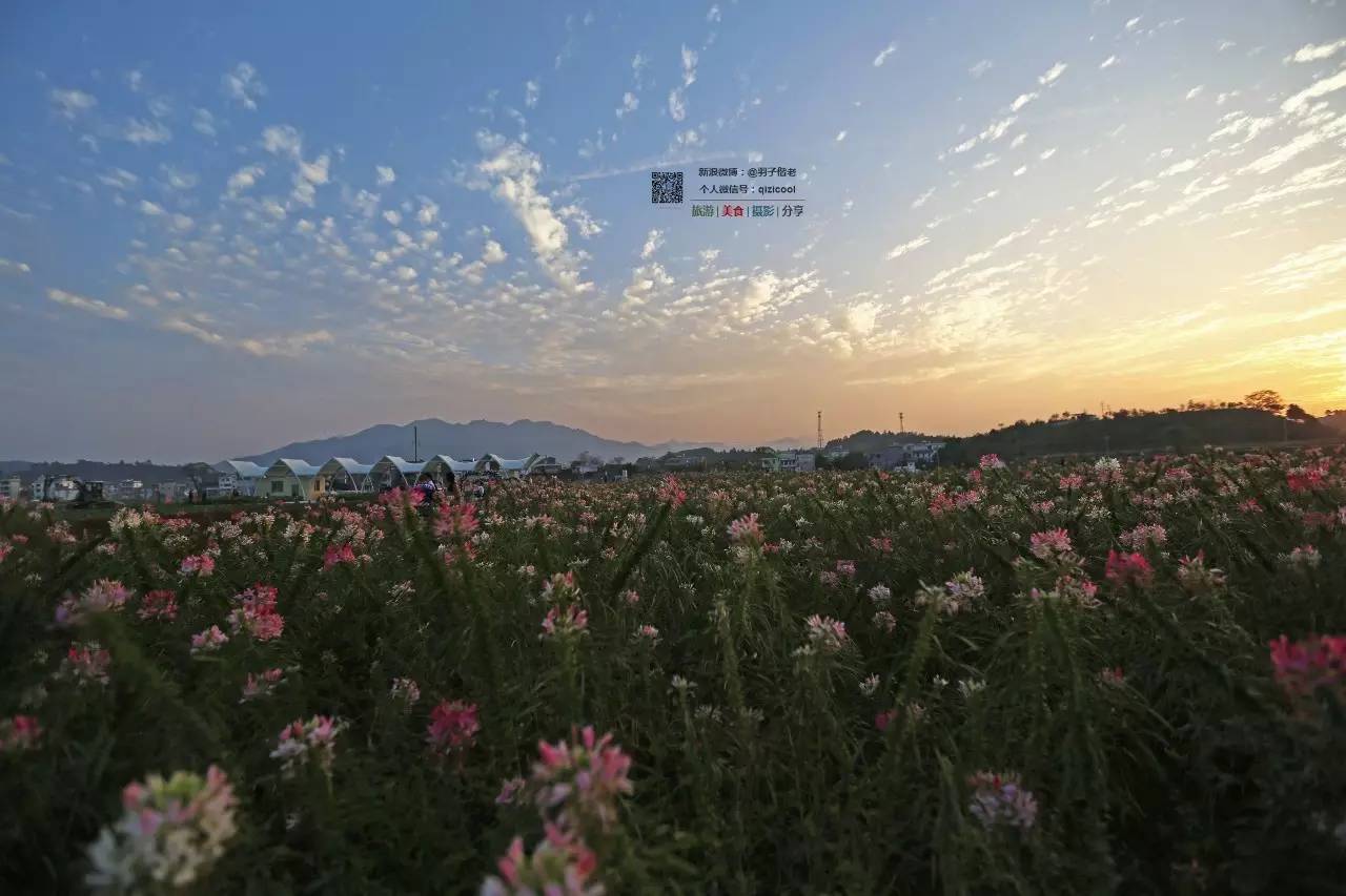 去清远连州怎样最方便,广东连州攻略