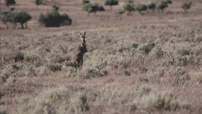 中国最孤独的酒店,世界最孤独的酒店安缦