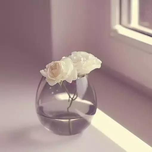 敷面膜的女人视频,敷面膜的女人真可怕