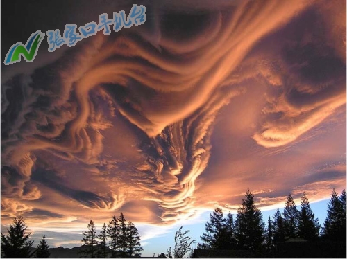 张家口新闻联播12月15日,张家口新闻报道频道