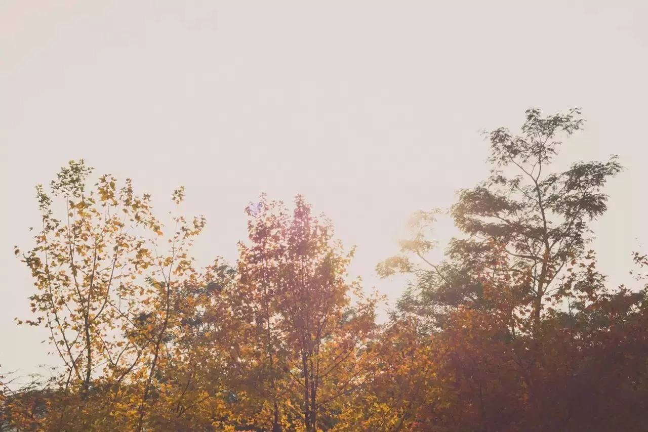 这几天千万不要来北师珠！