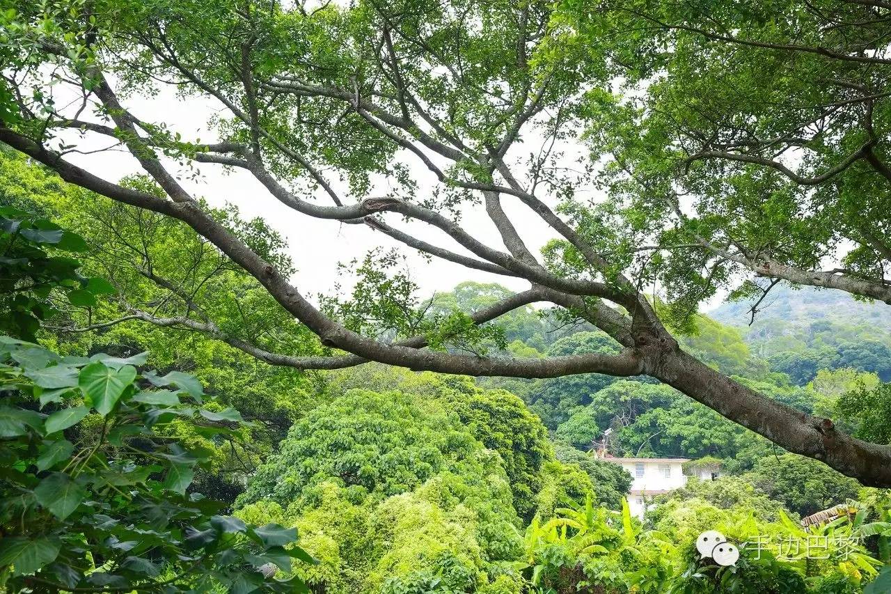 香港旅游攻略地图推荐,香港旅游攻略带地图
