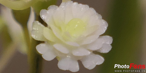 松下口袋相机lx10,松下lumixlx10长焦