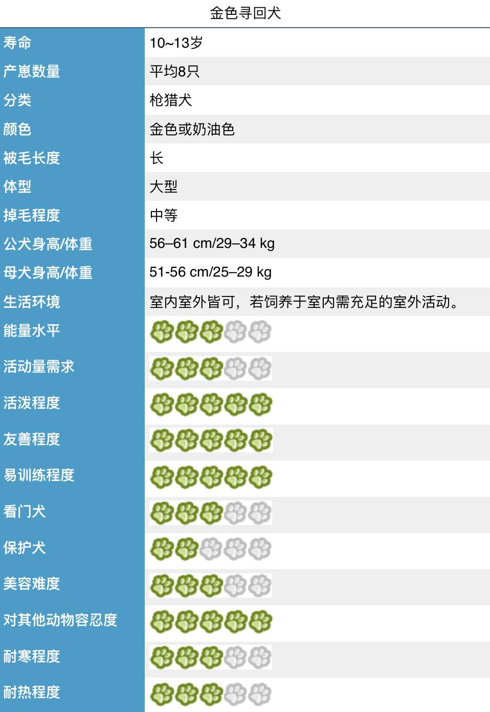 金毛最聪明的一只狗狗,金毛最有灵性是最懂事的狗