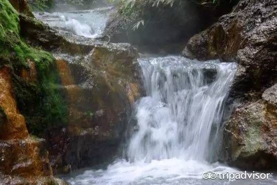 最受日本人喜欢的城市,最受日本人欢迎的景点