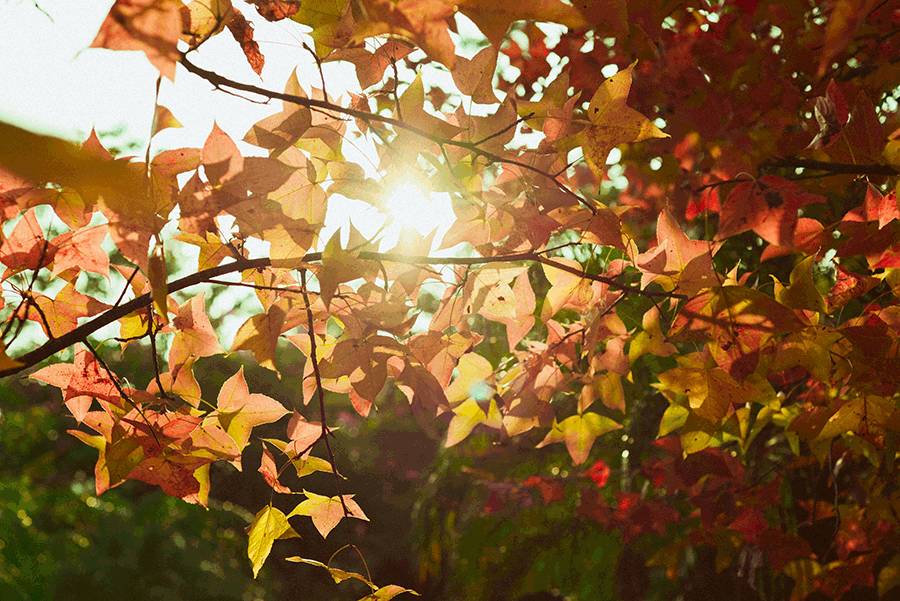 这几天千万不要来北师珠！