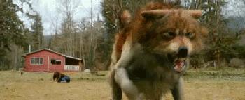 狼人进化史,关于狼人的变异视频