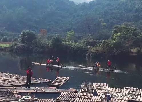 深度关注我县吹响旅游复苏新号角,广西双创示范基地