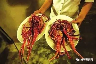 邯郸人来一场初冬的约“惠”让美景犒赏你一年的辛苦……