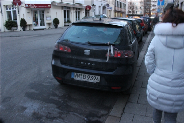 蜜月旅行惊现知豆比亚迪，顺着德法瑞意饱览欧洲的新能源汽车